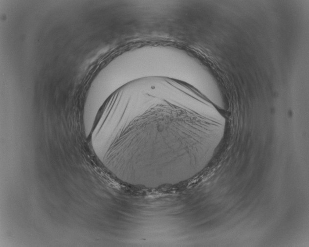 X0000067851398200605111656