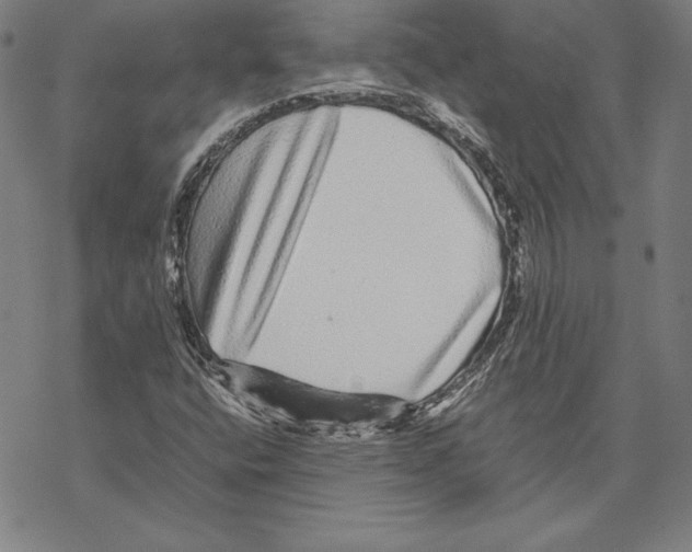 X0000067851400200605111656