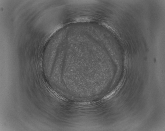 X0000067851401200605111656