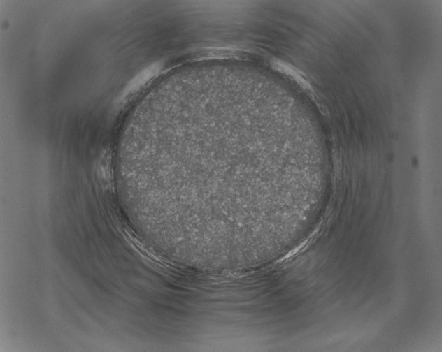 X0000067851403200605111656