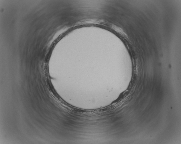 X0000067851404200605111656