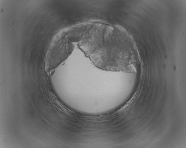 X0000067851405200605111656