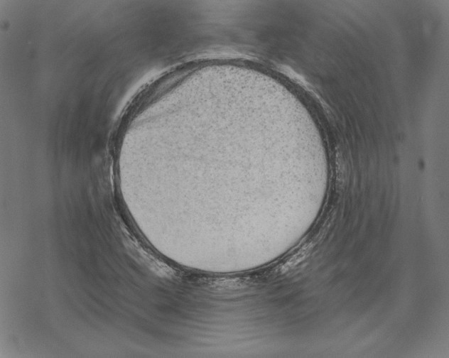 X0000067851408200605111656