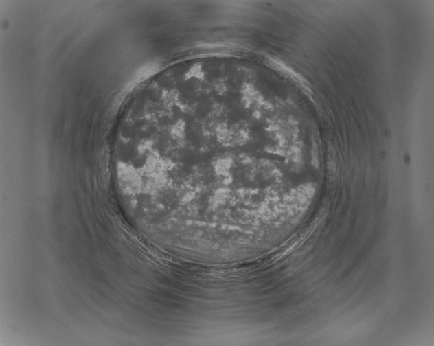 X0000067851411200605111656