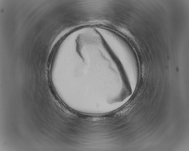 X0000067851412200605111656