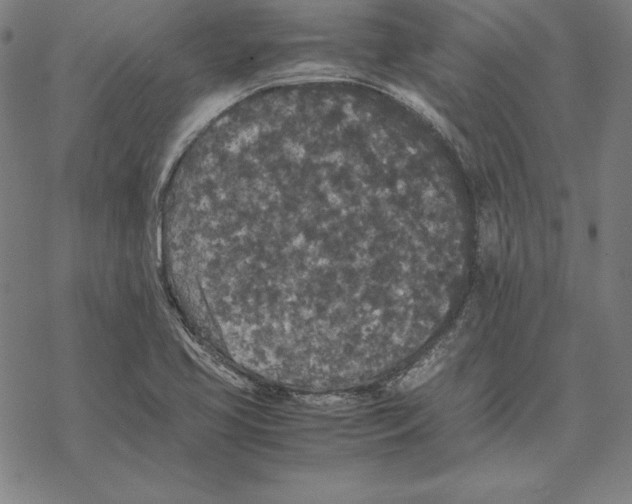 X0000067851413200605111656