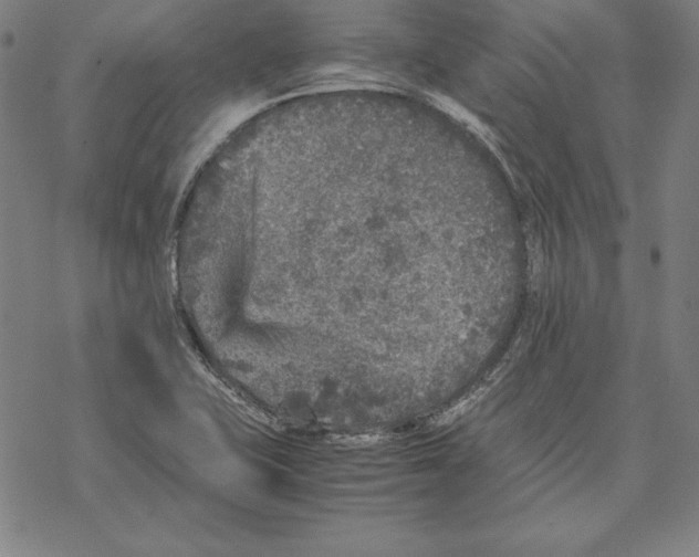 X0000067851415200605111656