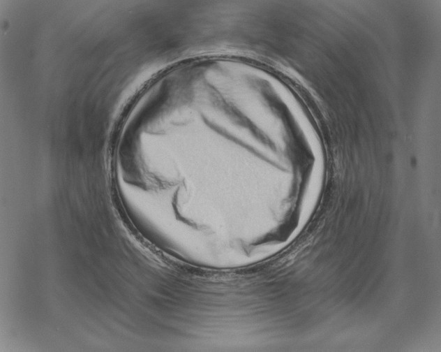 X0000067851416200605111656