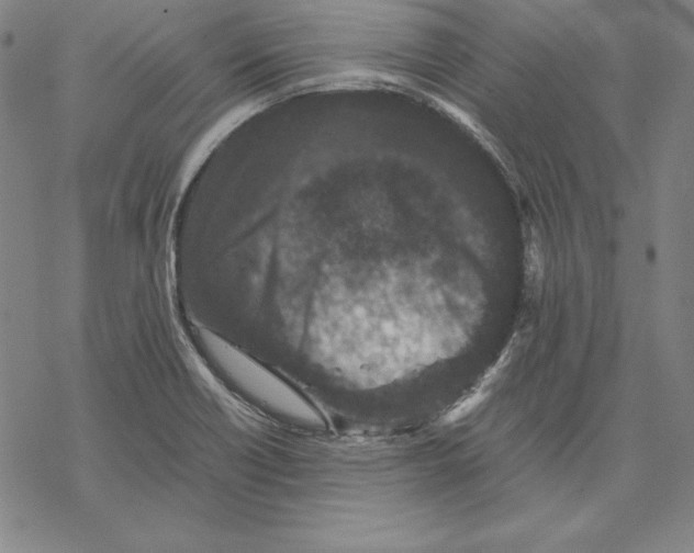 X0000067851418200605111657