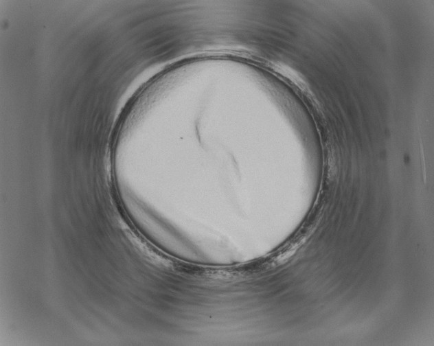 X0000067851420200605111657