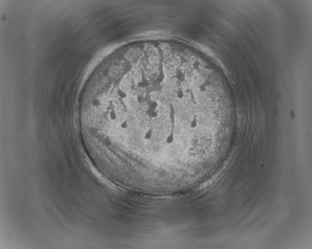 X0000067851421200605111657