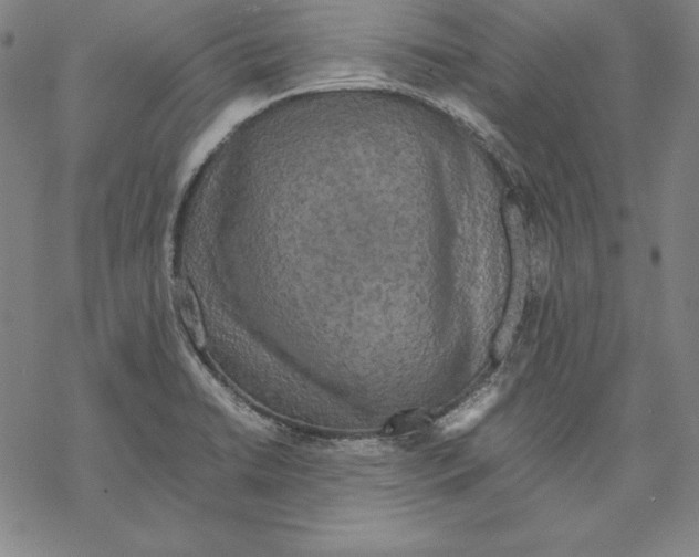 X0000067851422200605111657