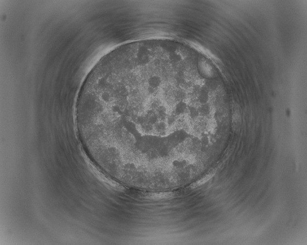 X0000067851423200605111657