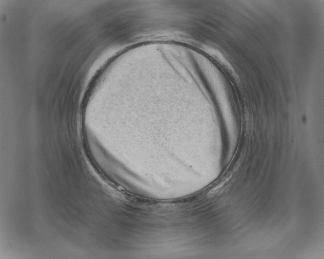 X0000067851424200605111657