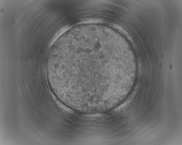 X0000067851425200605111657