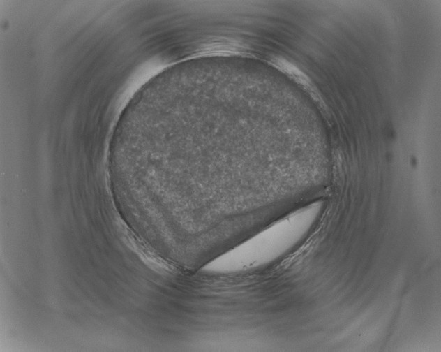 X0000067851427200605111657