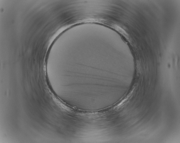 X0000067851428200605111657