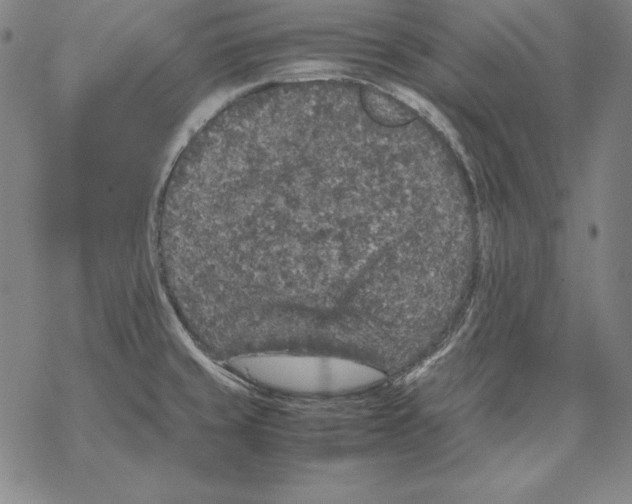 X0000067851429200605111657