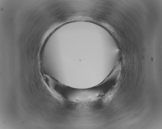 X0000067851430200605111657