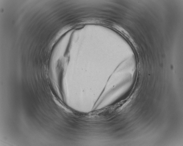 X0000067851433200605111657