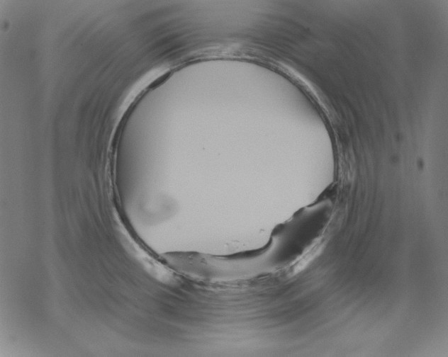 X0000067851434200605111657