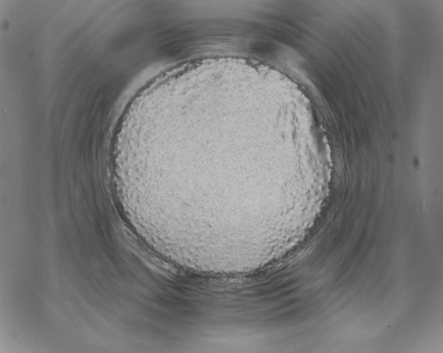 X0000067851435200605111657