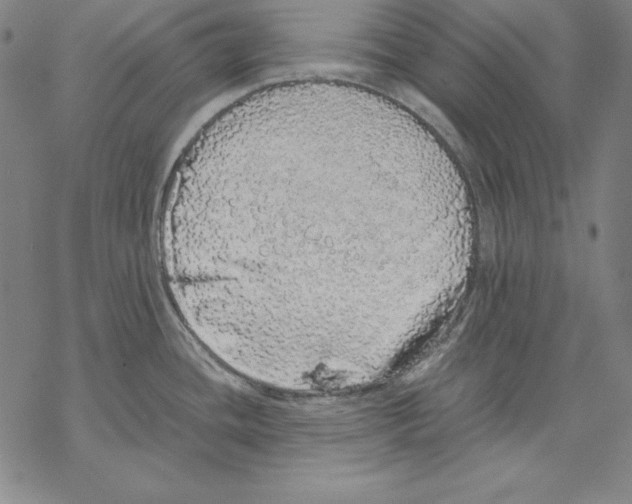 X0000067851436200605111657