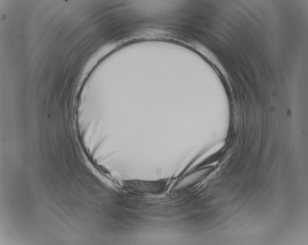 X0000067851437200605111657