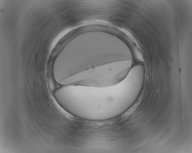 X0000067851438200605111657