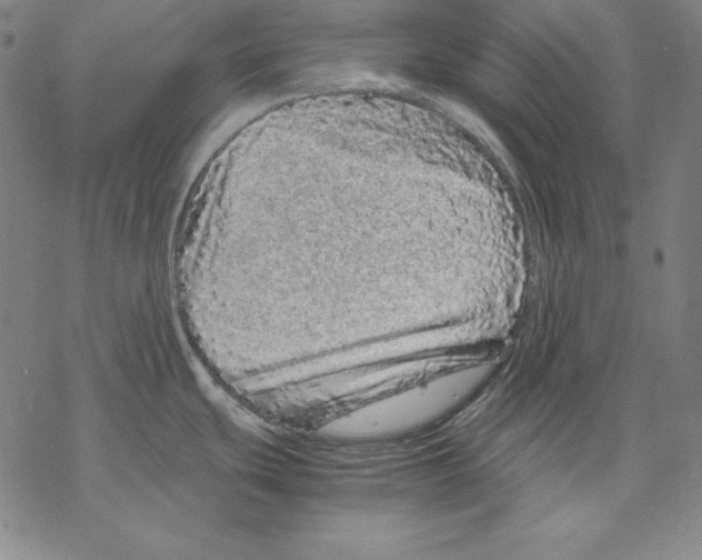 X0000067851439200605111657