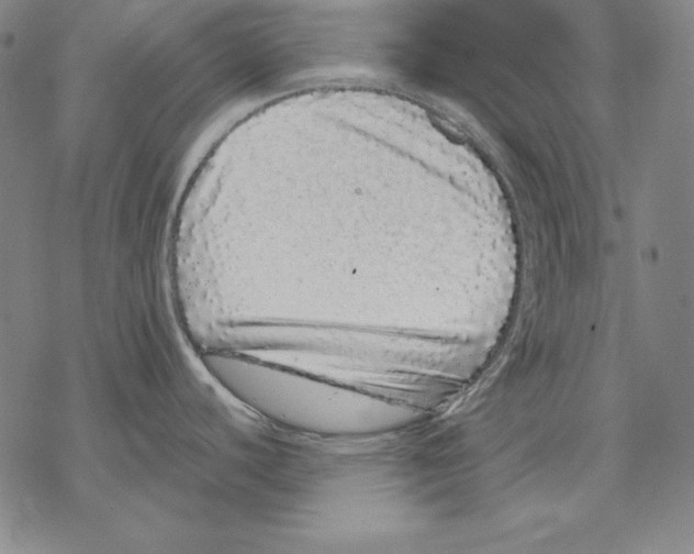 X0000067851440200605111657