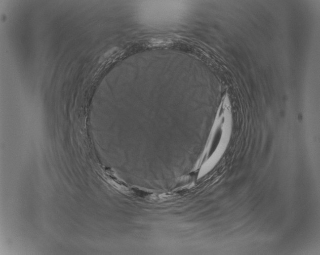 X0000067851441200605111656