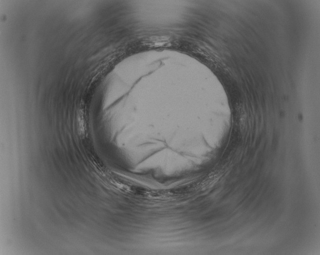 X0000067851442200605111656