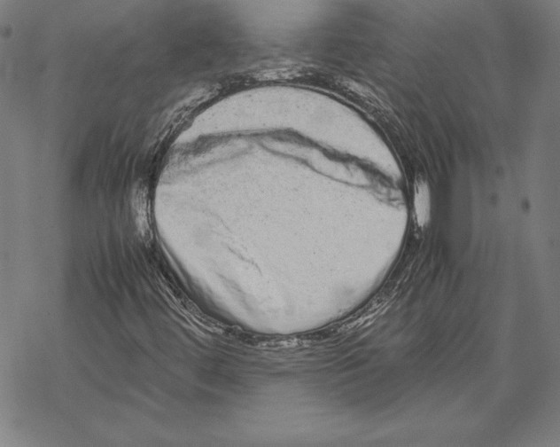 X0000067851444200605111656