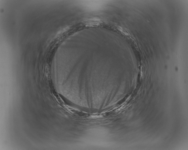 X0000067851445200605111656