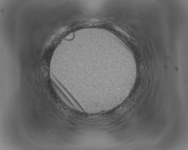 X0000067851447200605111656