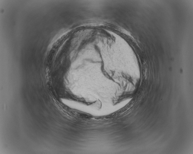 X0000067851448200605111656