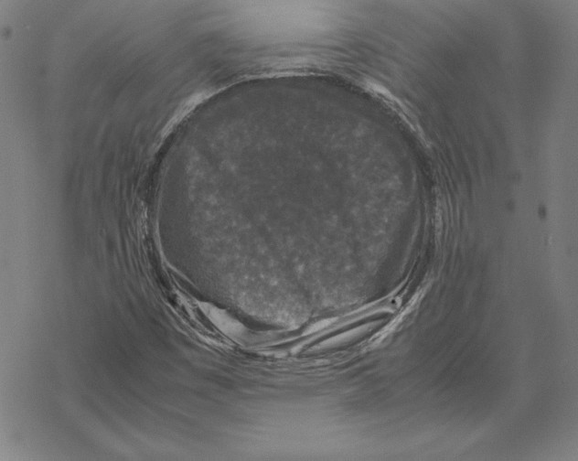 X0000067851449200605111656