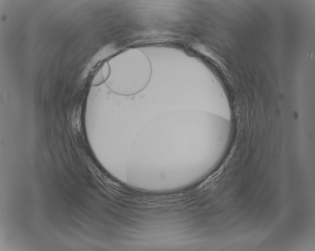 X0000067851451200605111656