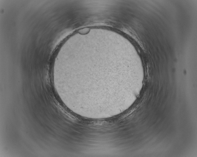 X0000067851452200605111656