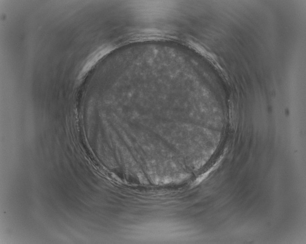 X0000067851453200605111656