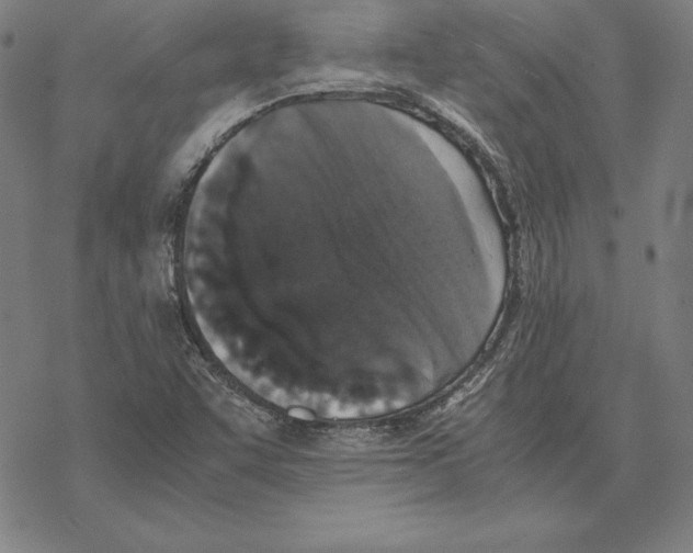 X0000067851455200605111656