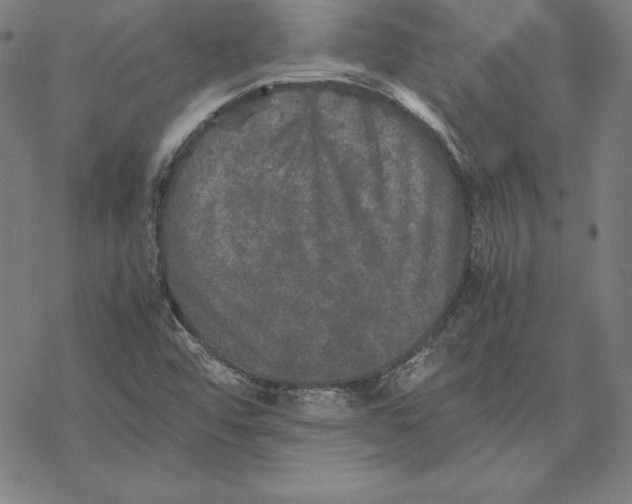 X0000067851456200605111656