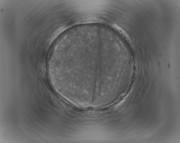 X0000067851457200605111656