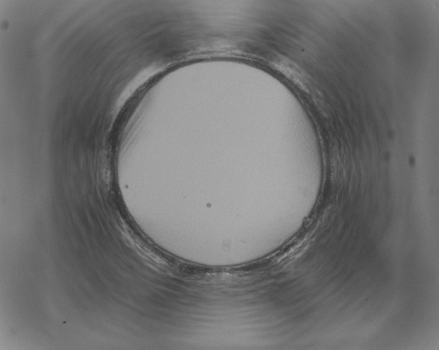 X0000067851458200605111656