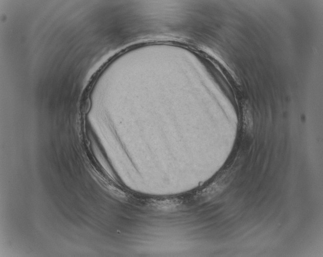 X0000067851460200605111656