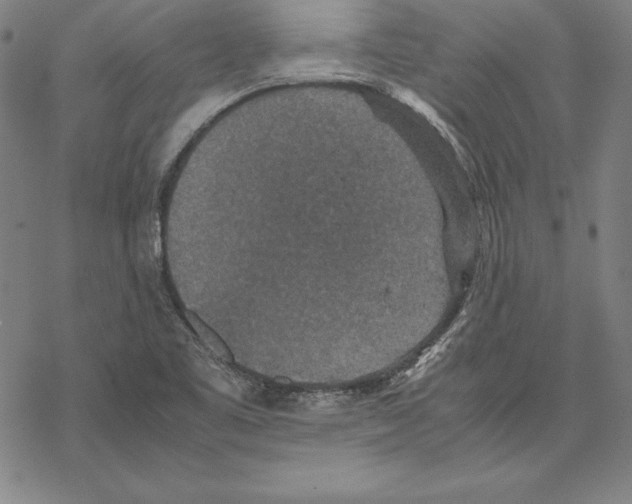 X0000067851461200605111656