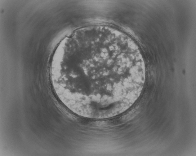 X0000067851463200605111656