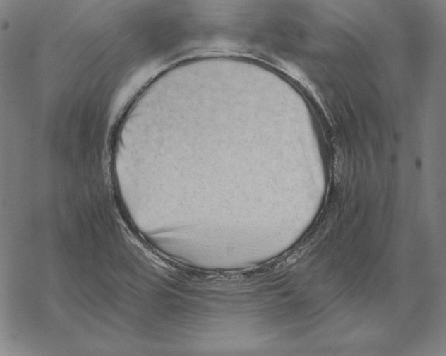 X0000067851464200605111656