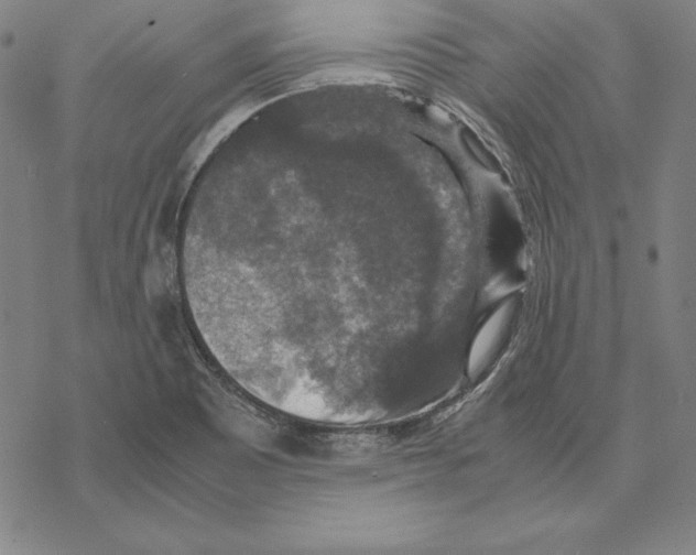 X0000067851465200605111656